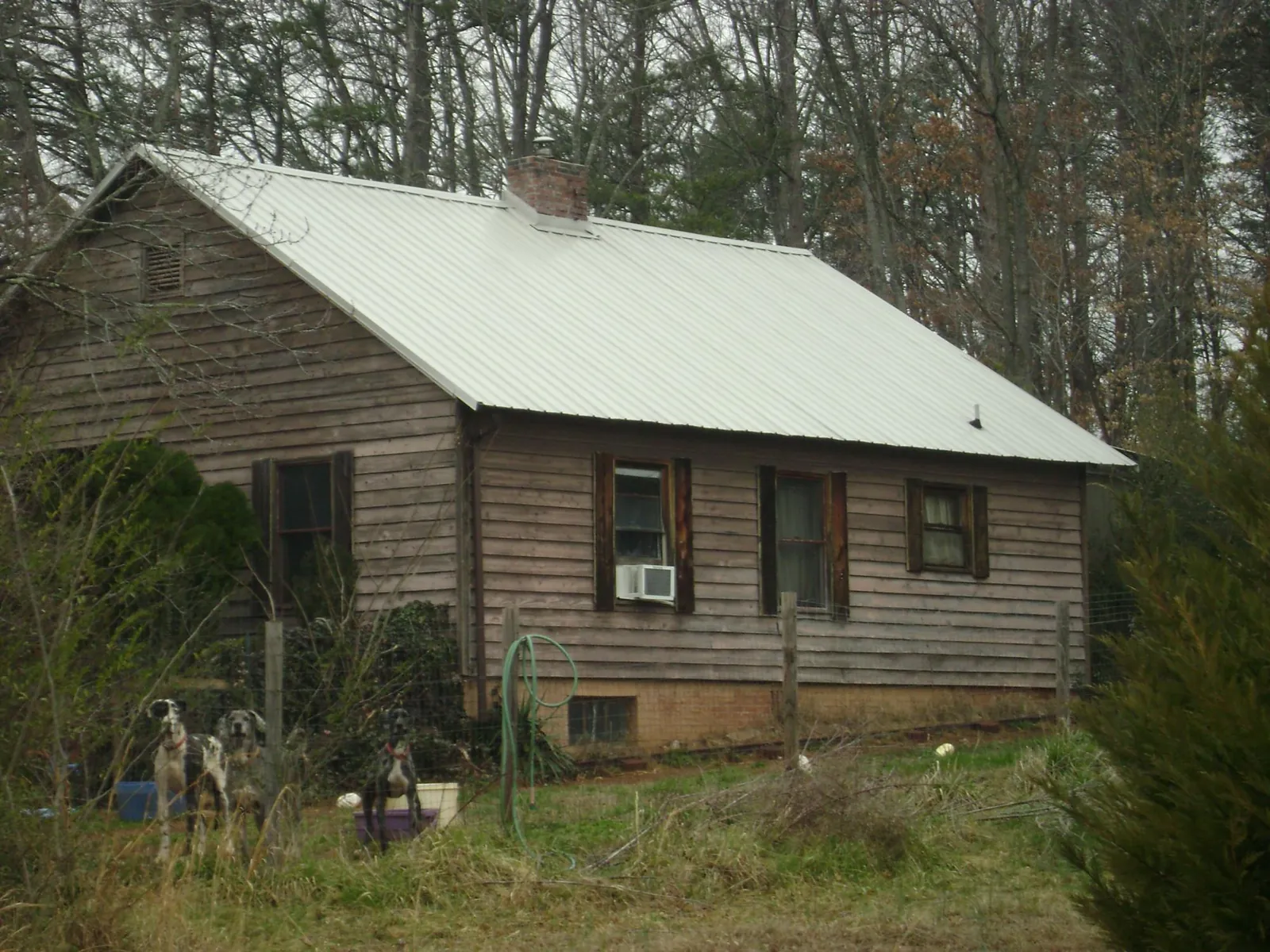 White metal roof on an old wood sided farmhouse, from a Asphalt Shingle Roof Repair job in Speer